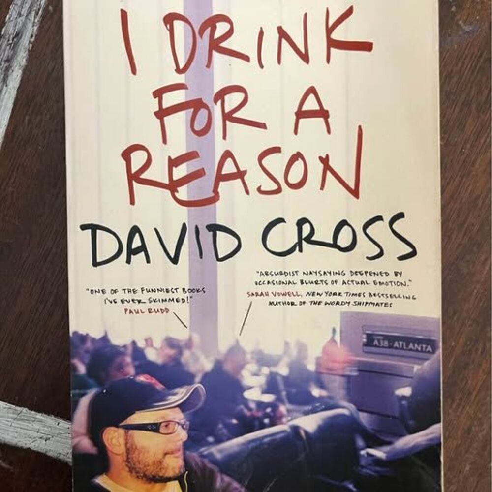I Drink for a Reason by David Cross